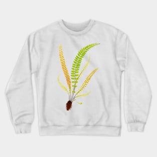 Feather fern botanical illustration Crewneck Sweatshirt